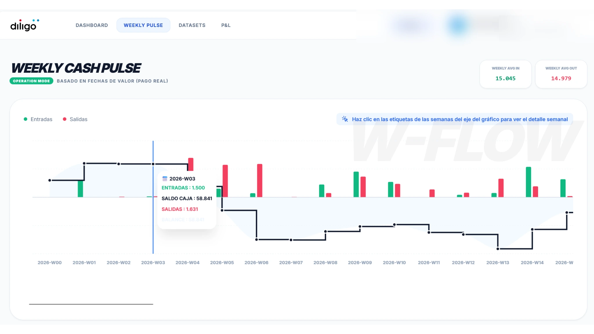 Reporting financiero Diligo - Informe ejecutivo